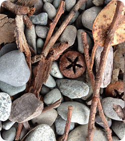 Гармония и красота