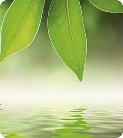 Полный релакс